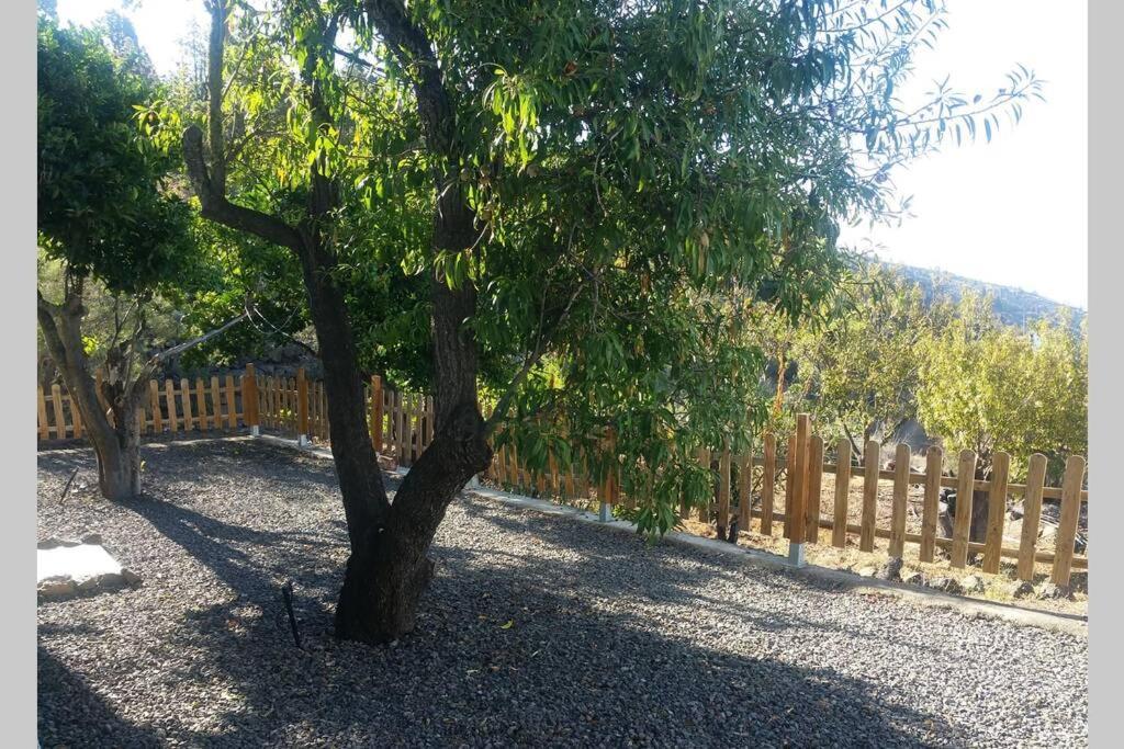 Casa Rural Servanda Puntagorda  Bagian luar foto
